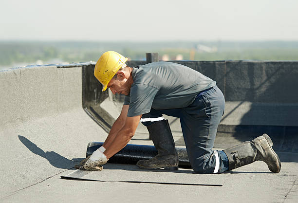 Best Crawl Space Insulation  in Brownfield, TX