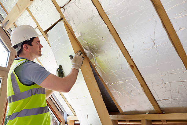 Best Attic Insulation Installation  in Brownfield, TX